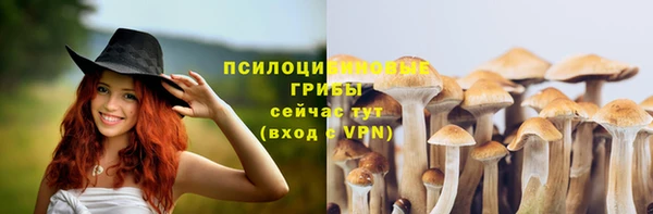 шишки Алзамай