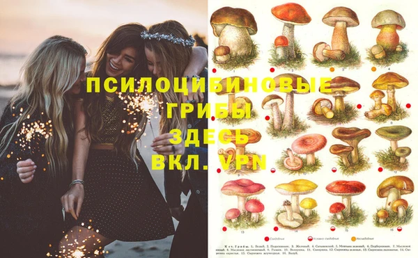 мяу мяу кристалл Алексеевка